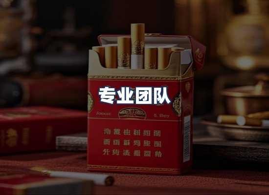 专业团队